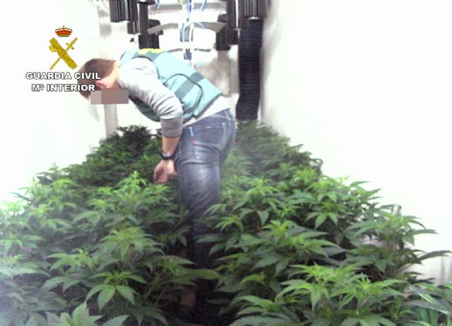 La Guardia Civil desmantela en Librilla un invernadero clandestino tipo indoor con medio centenar de platas de marihuana