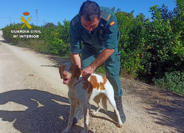 La Guardia Civil rescata a un perro de un canal de riego en Librilla