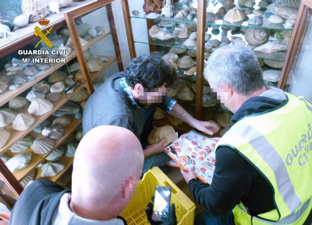 La Guardia Civil recupera cerca de 20.000 piezas arqueológicas y paleontológicas